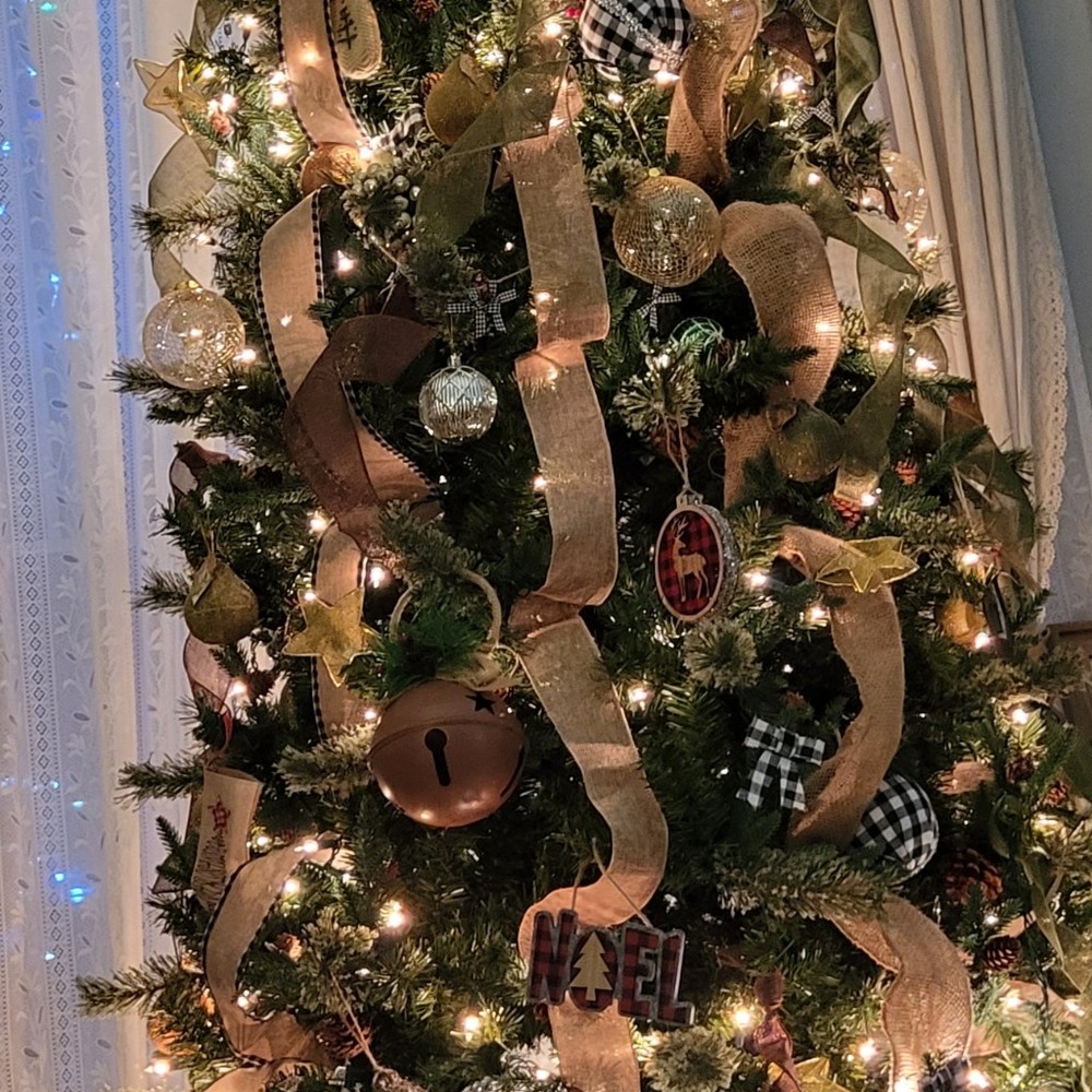 Meet your Posher, Medhanit